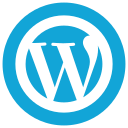 Hire WordPress Developers